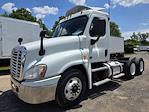 Used 2019 Freightliner Cascadia Detroit DD13 Semi Truck for sale #813284 - photo 1