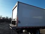 Used 2019 International MV Refrigerated Body for sale #200879 - photo 7