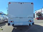 Used 2016 Freightliner M2 106 Beverage Truck for sale #654694 - photo 6