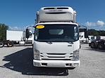 Used 2018 Isuzu NQR Refrigerated Body for sale #809954 - photo 3