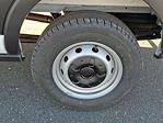 2026 Ford Transit 250 Medium Roof RWD Empty Cargo Van for sale #CP0684 - photo 6