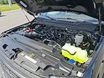 2023 Ford F-250 Regular Cab RWD Pickup for sale #DX4412A - photo 25