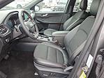 New 2025 Ford Escape ST-Line for sale #P9062 - photo 6