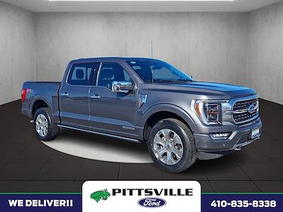 Used 2023 Ford F-150 - photo 1