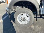 2024 Ford F-600 Regular Cab DRW 4WD Cab Chassis for sale #R512574 - photo 24