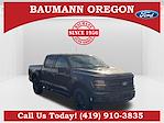 2025 Ford F-150 SuperCrew Cab 4x4 Pickup for sale #R513144 - photo 1
