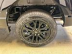 2025 Ford F-150 SuperCrew Cab 4x4 Pickup for sale #R513144 - photo 25
