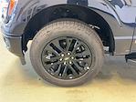 2025 Ford F-150 SuperCrew Cab 4x4 Pickup for sale #R513373 - photo 24
