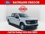 New 2025 Ford F-150 XL SuperCrew Cab for sale #R513707 - photo 1