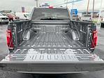 New 2025 Ford F-150 STX SuperCrew Cab for sale #R513718 - photo 7