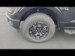 New 2025 Ford F-150 STX SuperCrew Cab for sale #R513723 - photo 24
