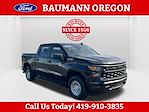 2024 Chevrolet Silverado 1500 Crew Cab 4WD Pickup for sale #RP2167A - photo 1