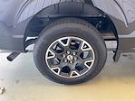 2024 Ford F-150 SuperCrew Cab 4x2 Pickup for sale #RP2195B - photo 27