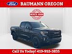 Used 2020 GMC Sierra 1500 Elevation Double Cab for sale #RP2335A - photo 1