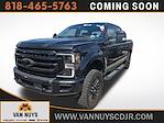 2020 Ford F-250 Crew Cab 4WD Pickup for sale #PV25302 - photo 1