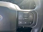 2024 Ford F-250 Crew Cab 4WD Pickup for sale #PV25395 - photo 10