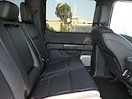 2025 Ford F-150 SuperCrew Cab 4x4 Pickup for sale #TV24315 - photo 25
