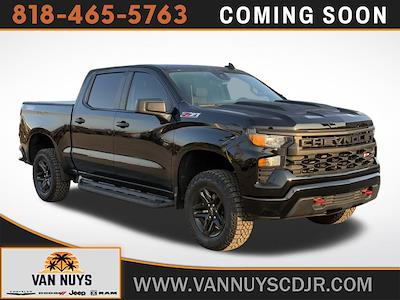 2024 Chevrolet Silverado 1500 Crew Cab 4x4 Pickup for sale #TV24774 - photo 1
