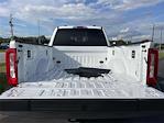 2024 Ford F-250 Crew Cab 4x4 Pickup for sale #46484A - photo 8