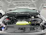 2025 Ford F-150 Regular Cab 4WD Pickup for sale #46710 - photo 6