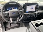2025 Ford F-150 Regular Cab RWD Pickup for sale #47055 - photo 11