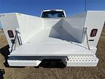 New 2026 Ford F-250 Regular Cab Service Truck for sale #47184 - photo 9