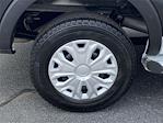 2024 Ford Transit 250 Low Roof RWD Empty Cargo Van for sale #SH4582 - photo 3