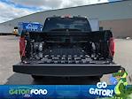 2025 Ford F-150 SuperCrew Cab 4WD Pickup for sale #D82133 - photo 14