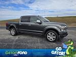 Used 2019 Ford F-150 Platinum SuperCrew Cab for sale #E71533A - photo 2