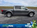 Used 2019 Ford F-150 Platinum SuperCrew Cab for sale #E71533A - photo 4