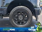 New 2025 Ford F-250 XLT Crew Cab 4WD Pickup for sale #ED56548 - photo 11