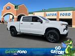 2024 Chevrolet Silverado 1500 Crew Cab 4WD Pickup for sale #EF91035A - photo 1