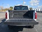 New 2025 Ford F-150 XLT SuperCrew Cab for sale #FC52851 - photo 14
