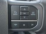 2025 Ford F-150 SuperCrew Cab 4WD Pickup for sale #FC75569 - photo 33