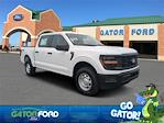 New 2025 Ford F-150 XL SuperCrew Cab 4WD Pickup for sale #FL34595 - photo 1