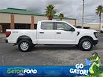New 2025 Ford F-150 XL SuperCrew Cab 4WD Pickup for sale #FL36147 - photo 5