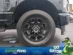 New 2025 Ford F-250 XLT Crew Cab 4WD Pickup for sale #FL60584 - photo 11