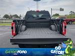 New 2025 Ford F-250 XLT Crew Cab 4WD Pickup for sale #FL60584 - photo 13