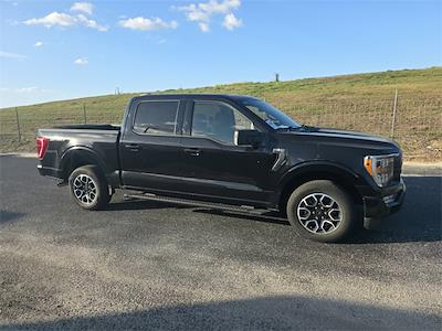 2023 Ford F-150 SuperCrew Cab RWD Pickup for sale #KD75969 - photo 2
