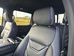 2024 Ford F-150 SuperCrew Cab 4WD Pickup for sale #KD82576 - photo 13