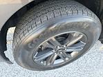 2023 Ford F-150 SuperCrew Cab RWD Pickup for sale #KE63913 - photo 10