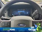 2025 Ford F-150 SuperCrew Cab RWD Pickup for sale #KF52230 - photo 30
