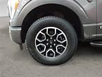 2022 Ford F-150 SuperCrew Cab 4WD Pickup for sale #JF24703A - photo 14