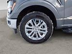 2024 Ford F-150 SuperCrew Cab 4WD Pickup for sale #JF25293A - photo 14