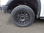 2024 GMC Sierra 1500 Crew Cab 4x4 Pickup for sale #JTC6081 - photo 14