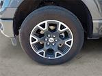 2024 Ford F-150 SuperCrew Cab 4x4 Pickup for sale #JU5856 - photo 14