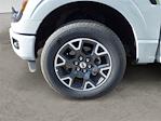 2024 Ford F-150 SuperCrew Cab 4x4 Pickup for sale #JU5889 - photo 14