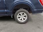 2023 Ford F-150 SuperCrew Cab 4WD Pickup for sale #JU6008 - photo 14