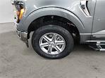 2024 Ford F-150 SuperCrew Cab 4WD Pickup for sale #JU6044 - photo 14