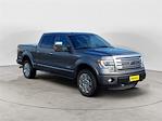 2014 Ford F-150 SuperCrew Cab 4x4 Pickup for sale #JXU1815 - photo 7
